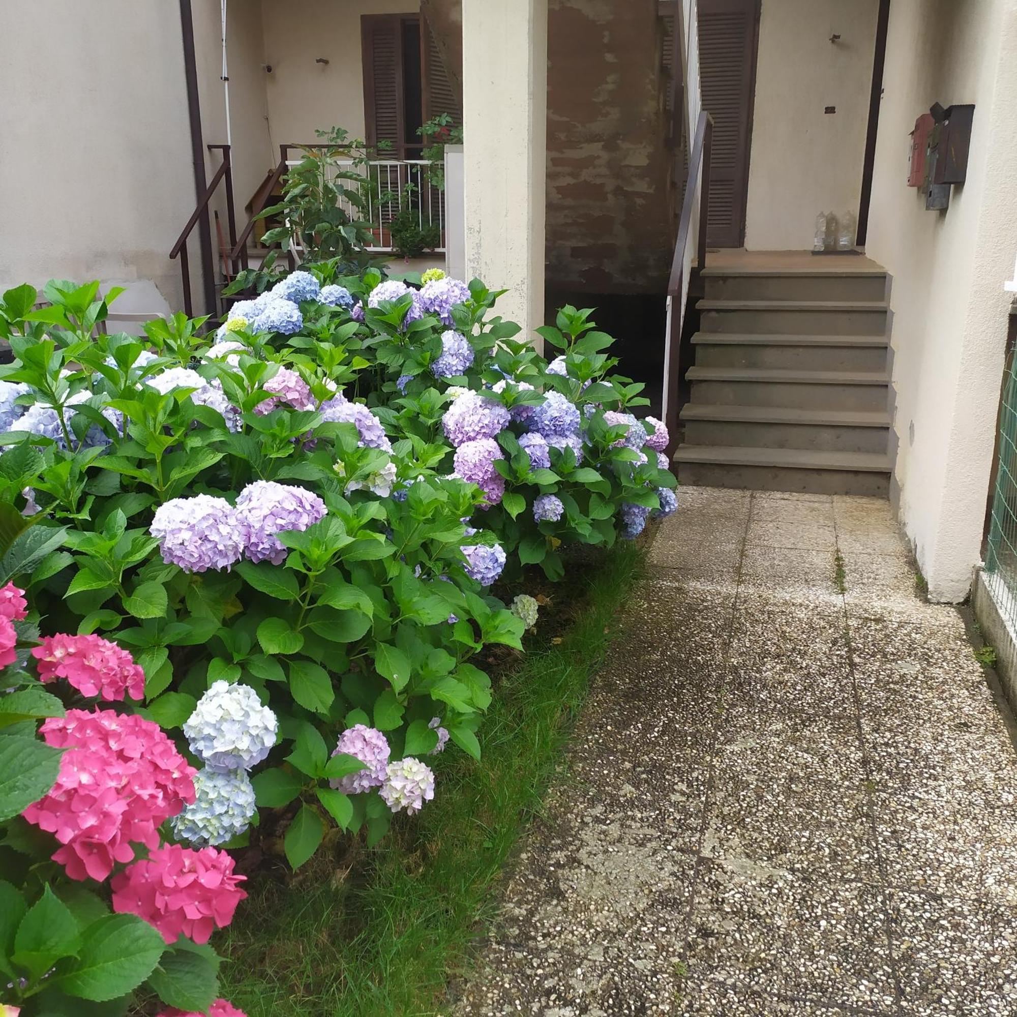 Apartment Santa Maria Bolsena Eksteriør billede