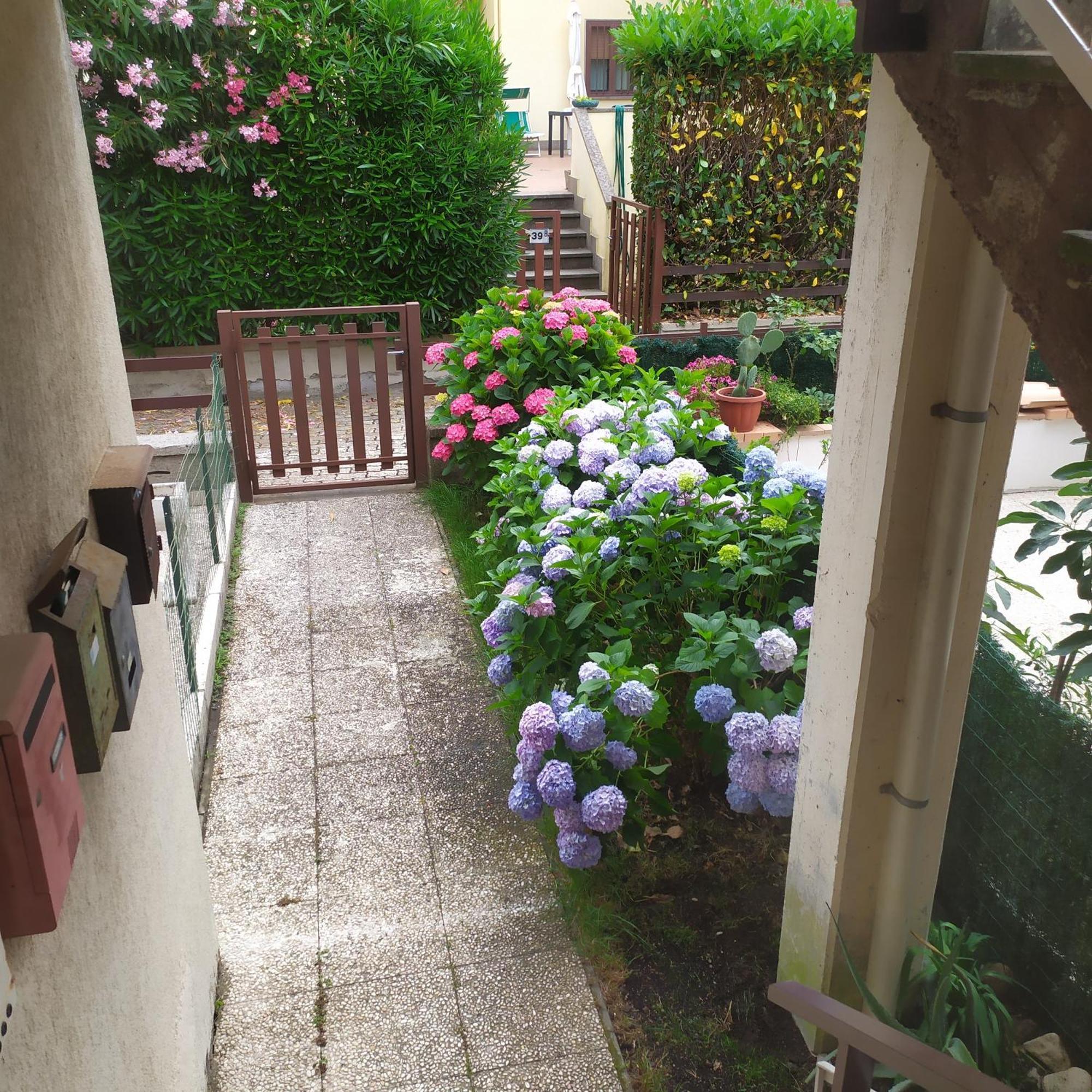 Apartment Santa Maria Bolsena Eksteriør billede
